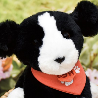 Chien en Peluche noir 16 cm - SPA Collection