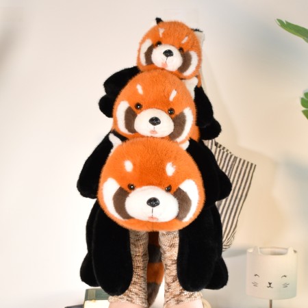 Panda roux allongé