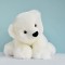gros ours blanc peluche Histoire d'Ours