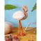 peluche flamant-rose.jpg