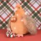 Peluche Madame Poule XXL - Orange roux - 50cm- HO3269-4.jpg