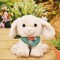 Peluche-lapin-beige-spa-ho3316.jpg