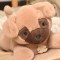 peluche lestee chien-HO3328-1.jpg