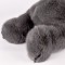 HO3365-3.jpg