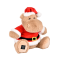 HO3381 (1).png