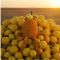 jOHN LEMON (3).png