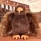 Aigle en peluche - Puy du fou - 25 cm- LI4390-4.jpg