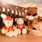puy du fou-ours-LI4392-5.jpg