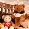 ours viking-LI4394-3.jpg