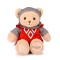 Peluche chevalier ours - Puy du Fou - 30 cm- LI4396.jpg
