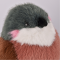 Moineau en peluche 3.png