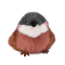 peluche oiseau-Moineau.png