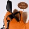 _Podcoll Panda Roux Sac a dos (5).jpg