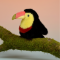 peluche Toucan 3.png