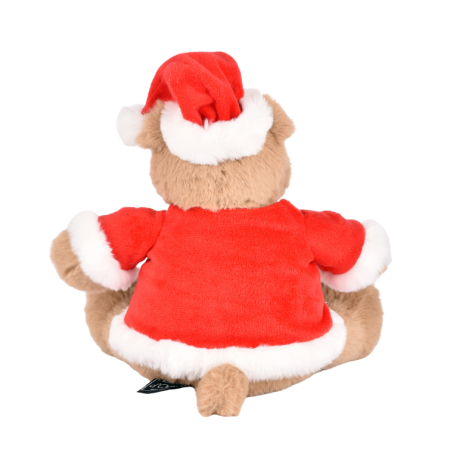 HO3381 (2).png