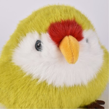 peluche Perruche.jpg