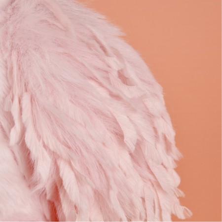 Poulette Rose Lady (3).jpg