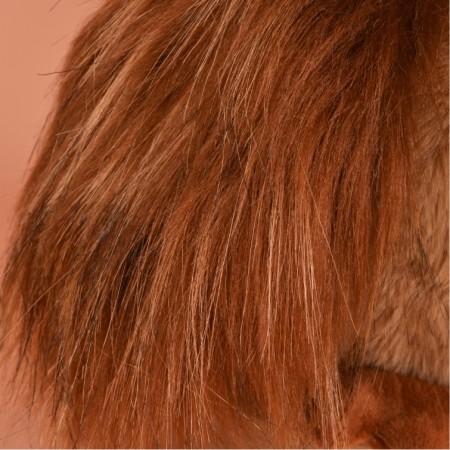 Poulette Rousse 1.jpg