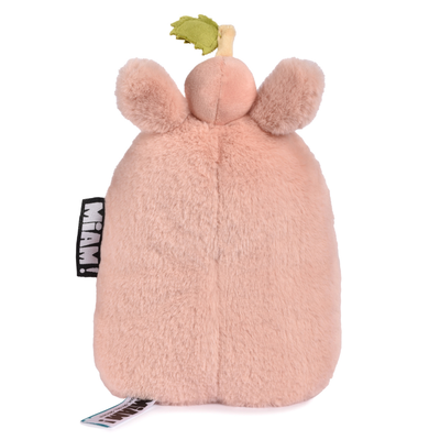 taylor peach (1).png